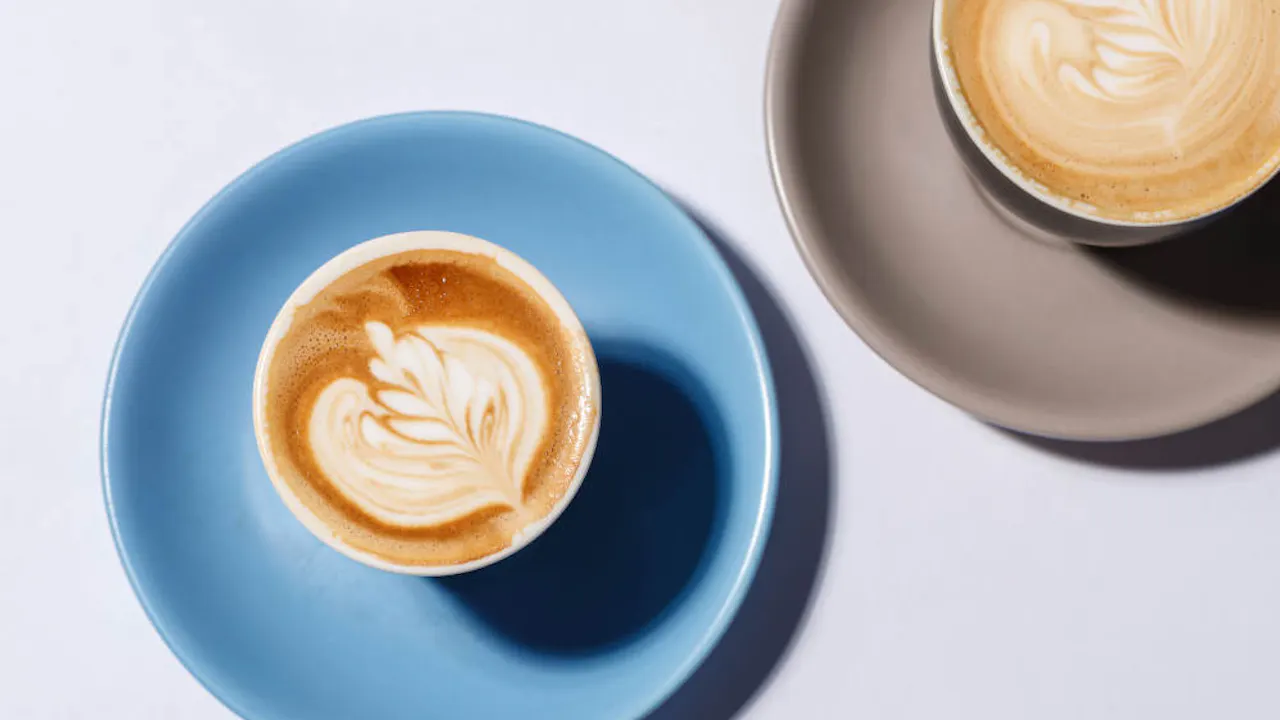 Sydney Opera House Ticket Discount