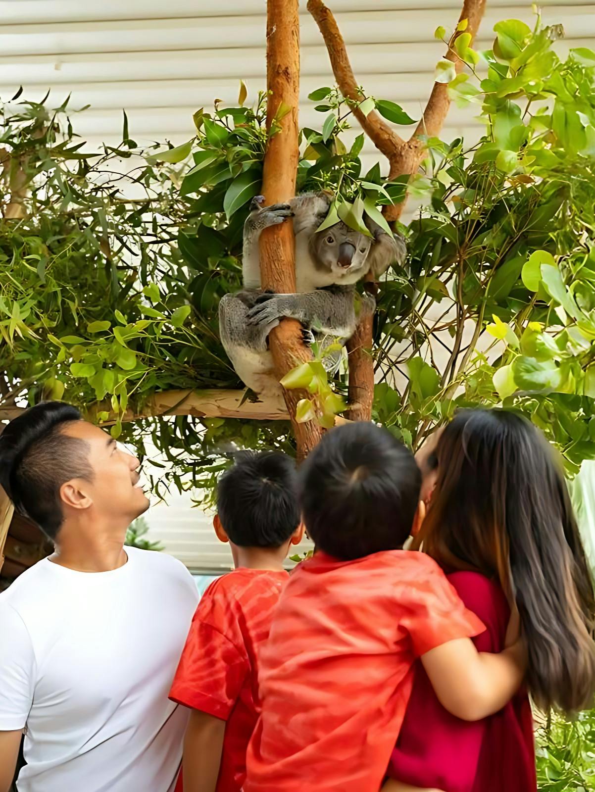 Sydney Multi-Attraction Pass Discount