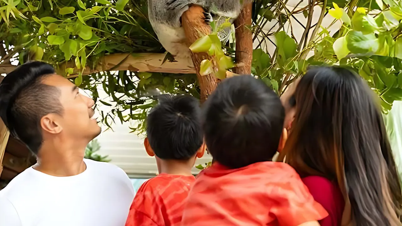 Sydney Multi-Attraction Pass Discount