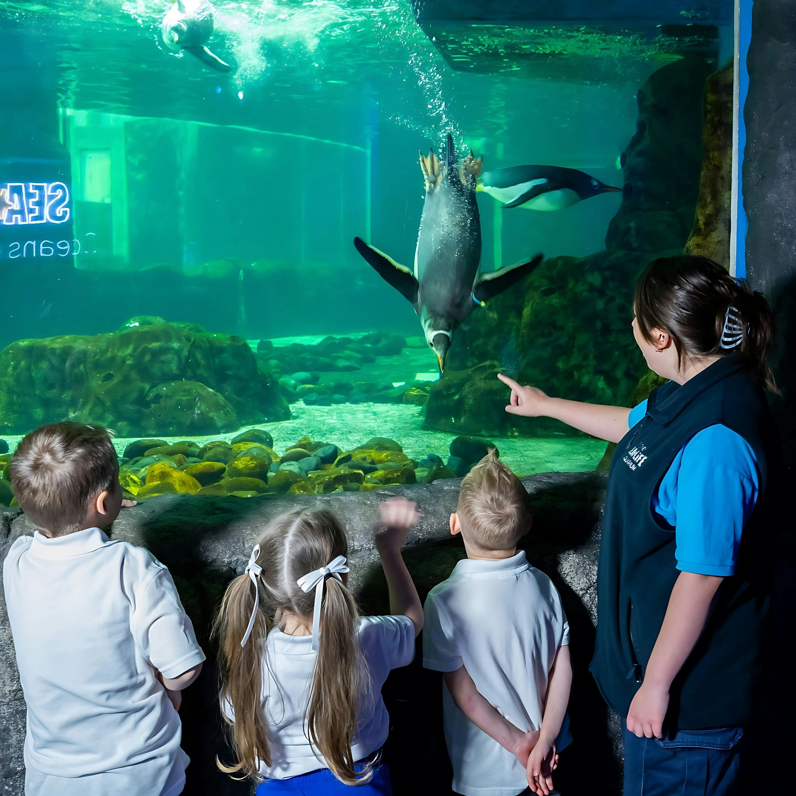 Sydney Multi-Attraction Pass Ticket