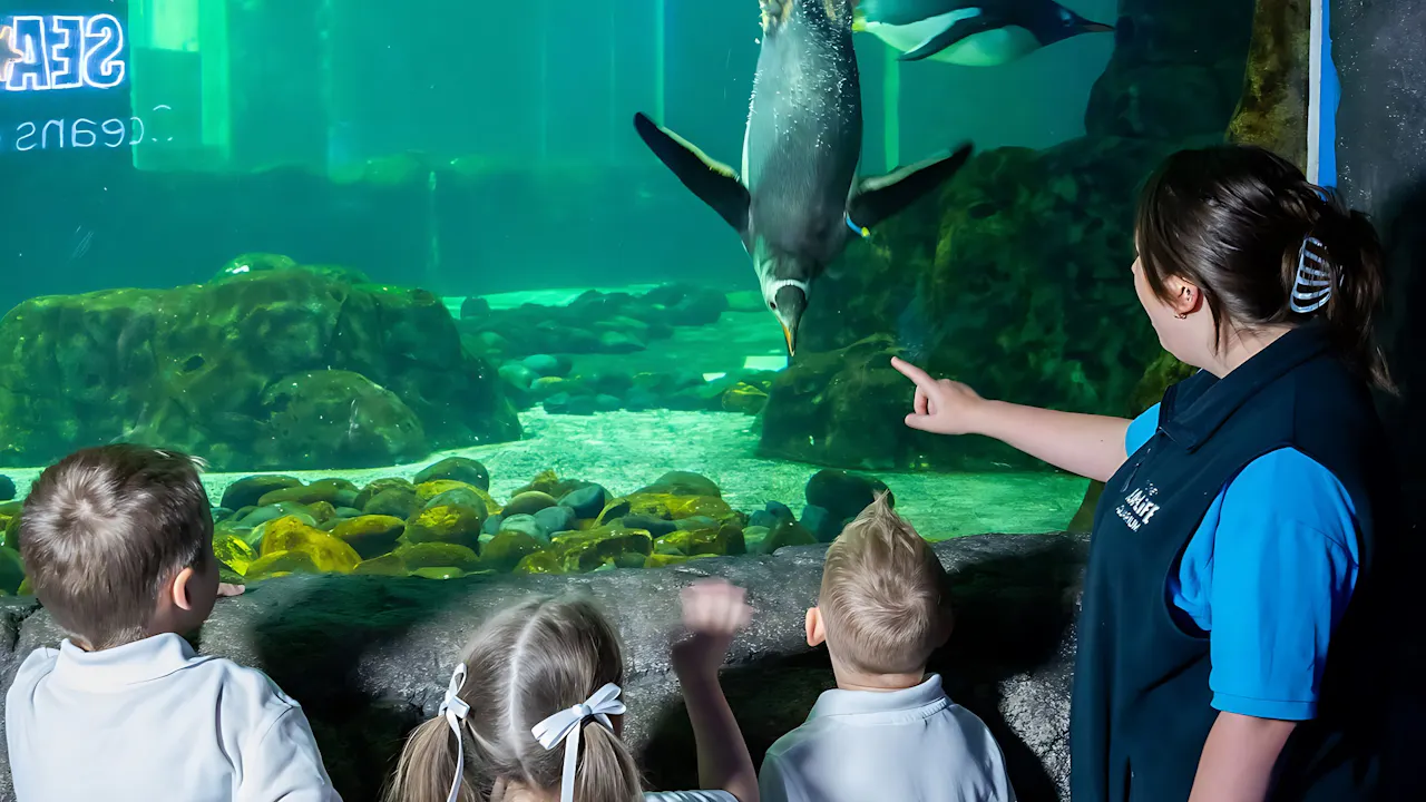 Sydney Multi-Attraction Pass Ticket