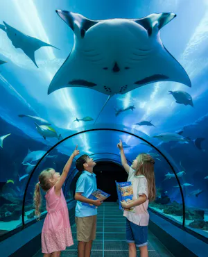 WILD LIFE Sydney Zoo Tickets