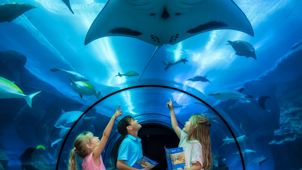 WILD LIFE Sydney Zoo Tickets Price