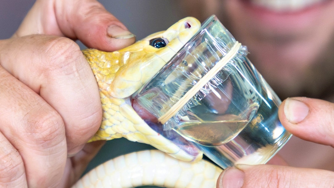 Australian Reptile Park Ticket Ticket