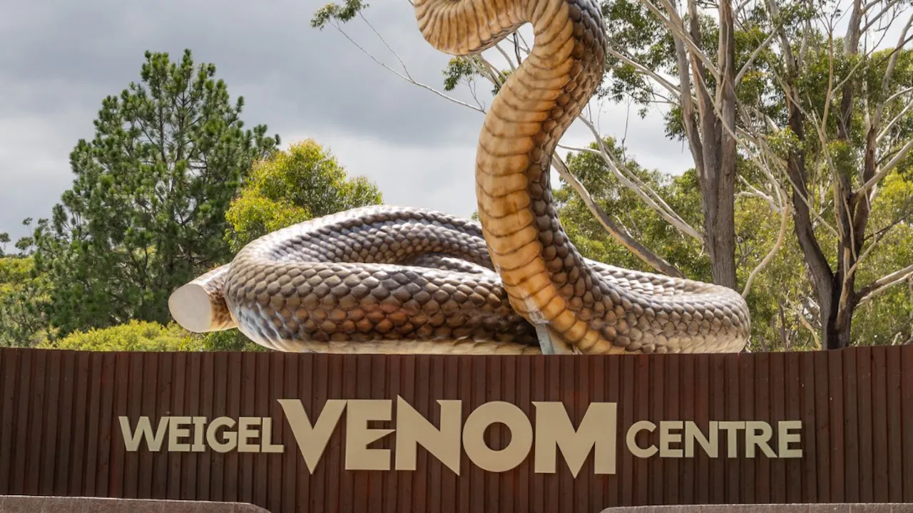 Australian Reptile Park Ticket