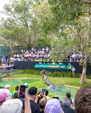 Australian Reptile Park Ticket