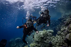 Scuba Diving Experience in Jeddah