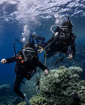 Scuba Diving Experience in Jeddah