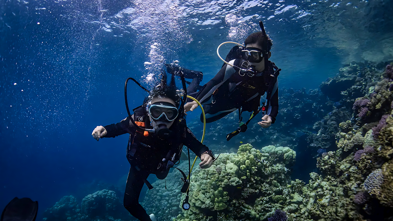 Scuba Diving Experience in Jeddah Price