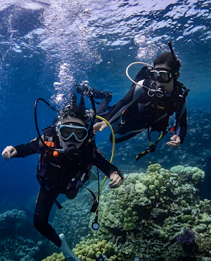 Scuba Diving Experience in Jeddah