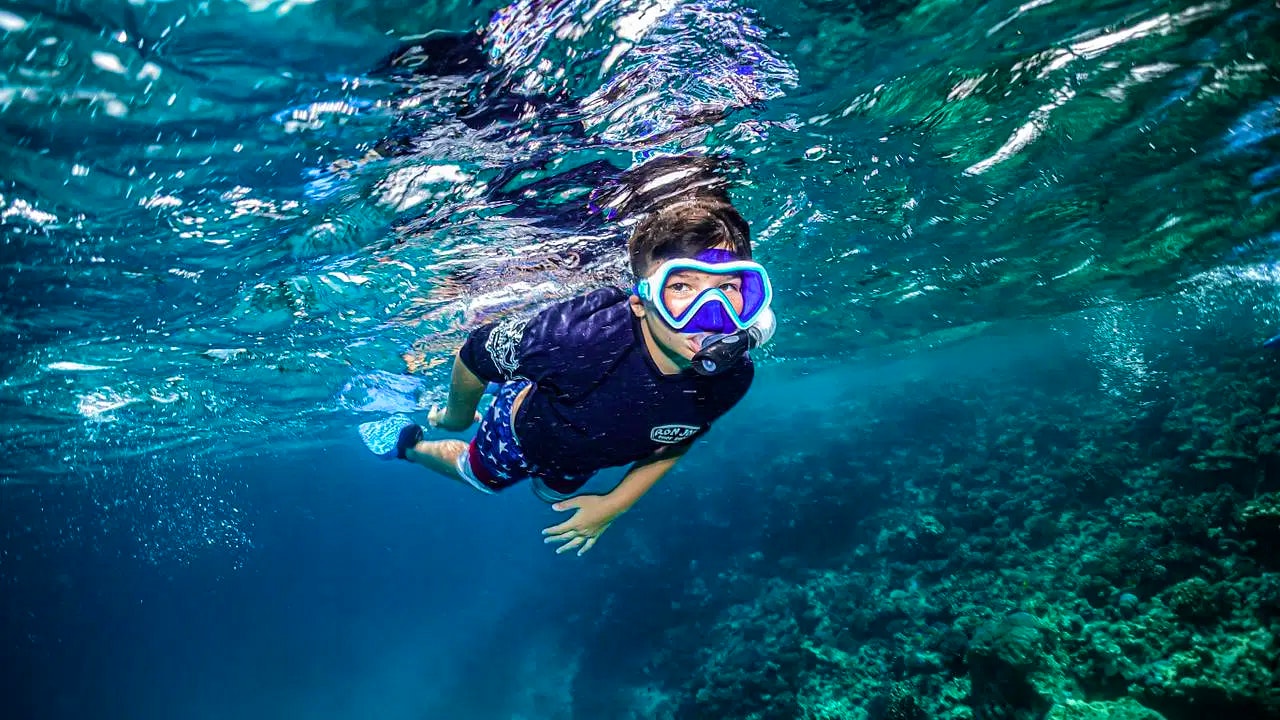 Snorkeling Experience in Jeddah Ticket