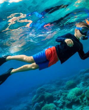 Snorkeling Experience in Jeddah