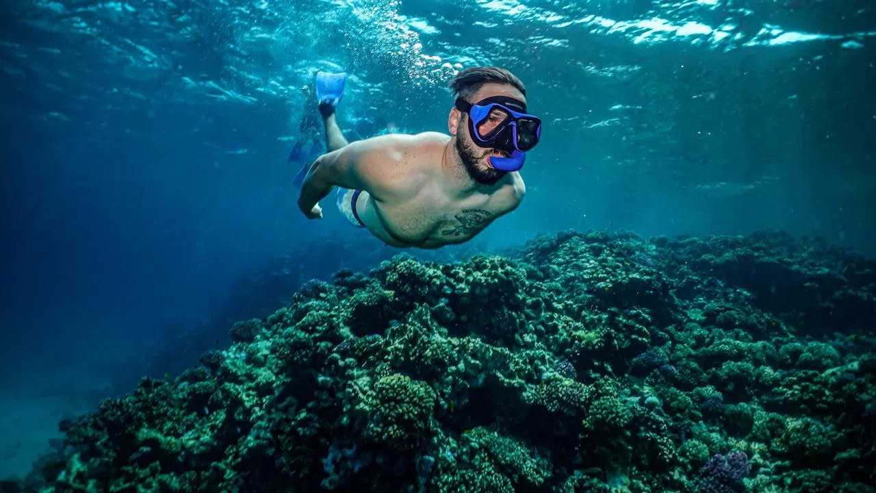 Snorkeling Experience in Jeddah Price