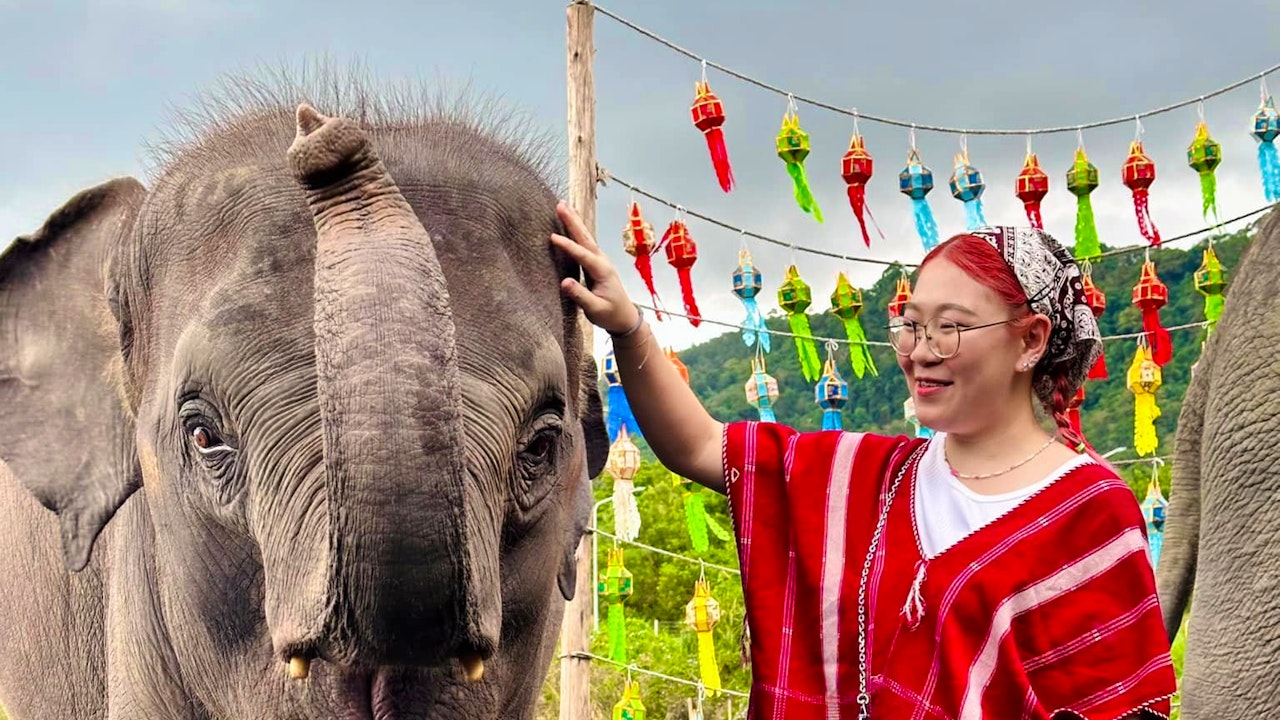 Kerchor Elephant Family Phuket Discount