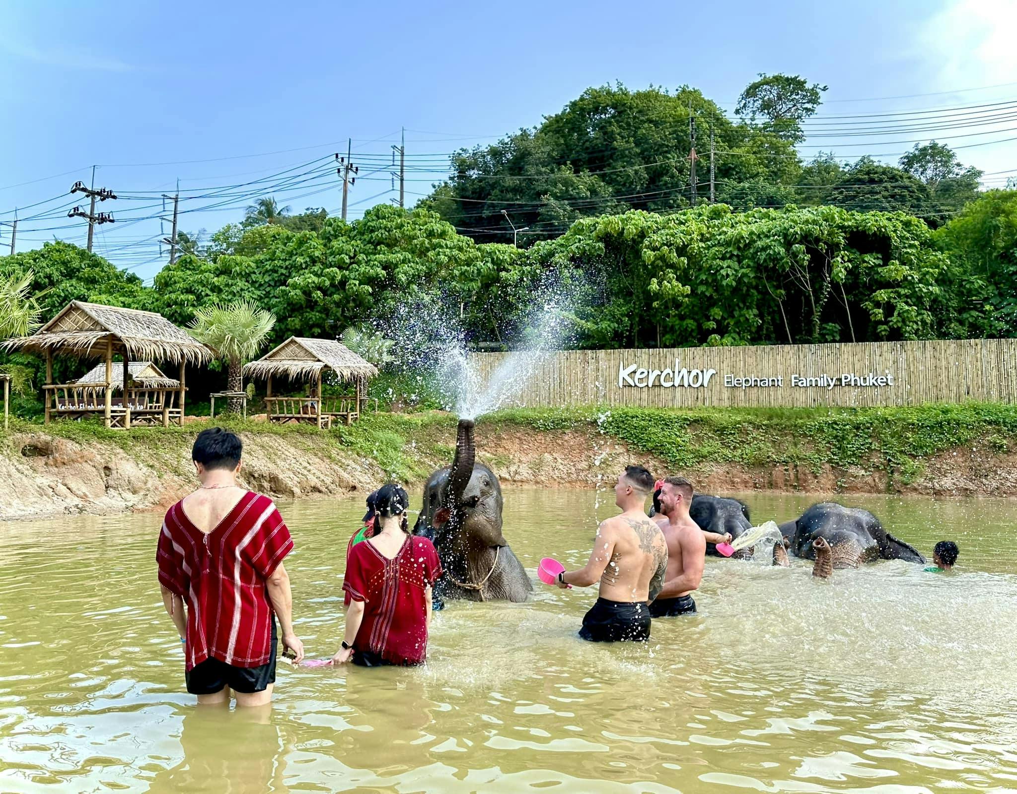 Kerchor Elephant Family Phuket Ticket