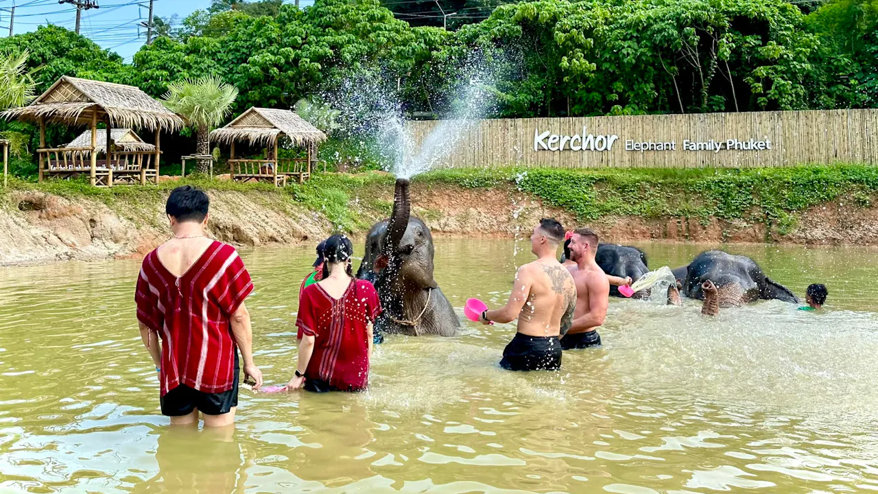 Kerchor Elephant Family Phuket Ticket