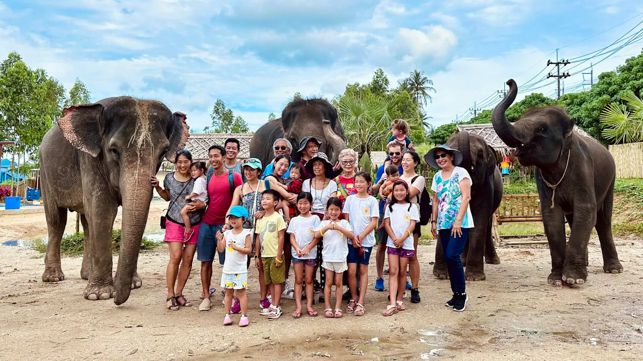 Kerchor Elephant Family Phuket