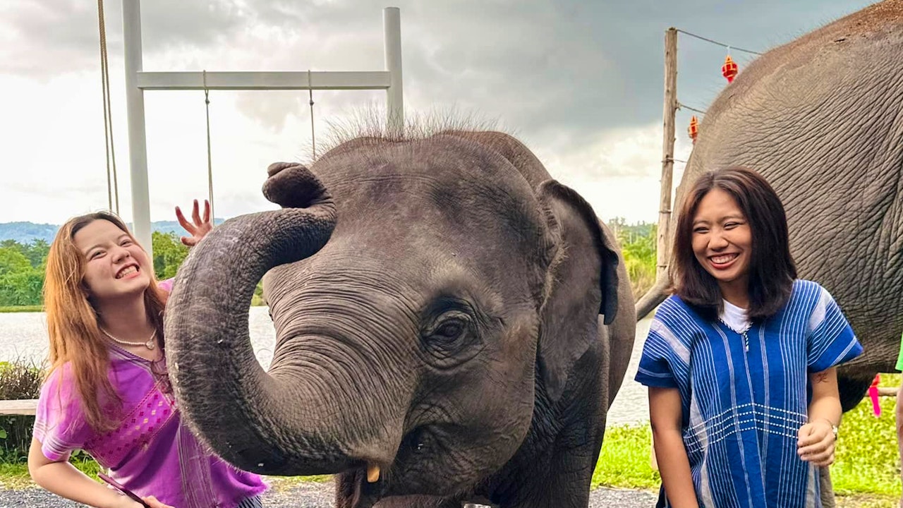 Kerchor Elephant Family Phuket Price