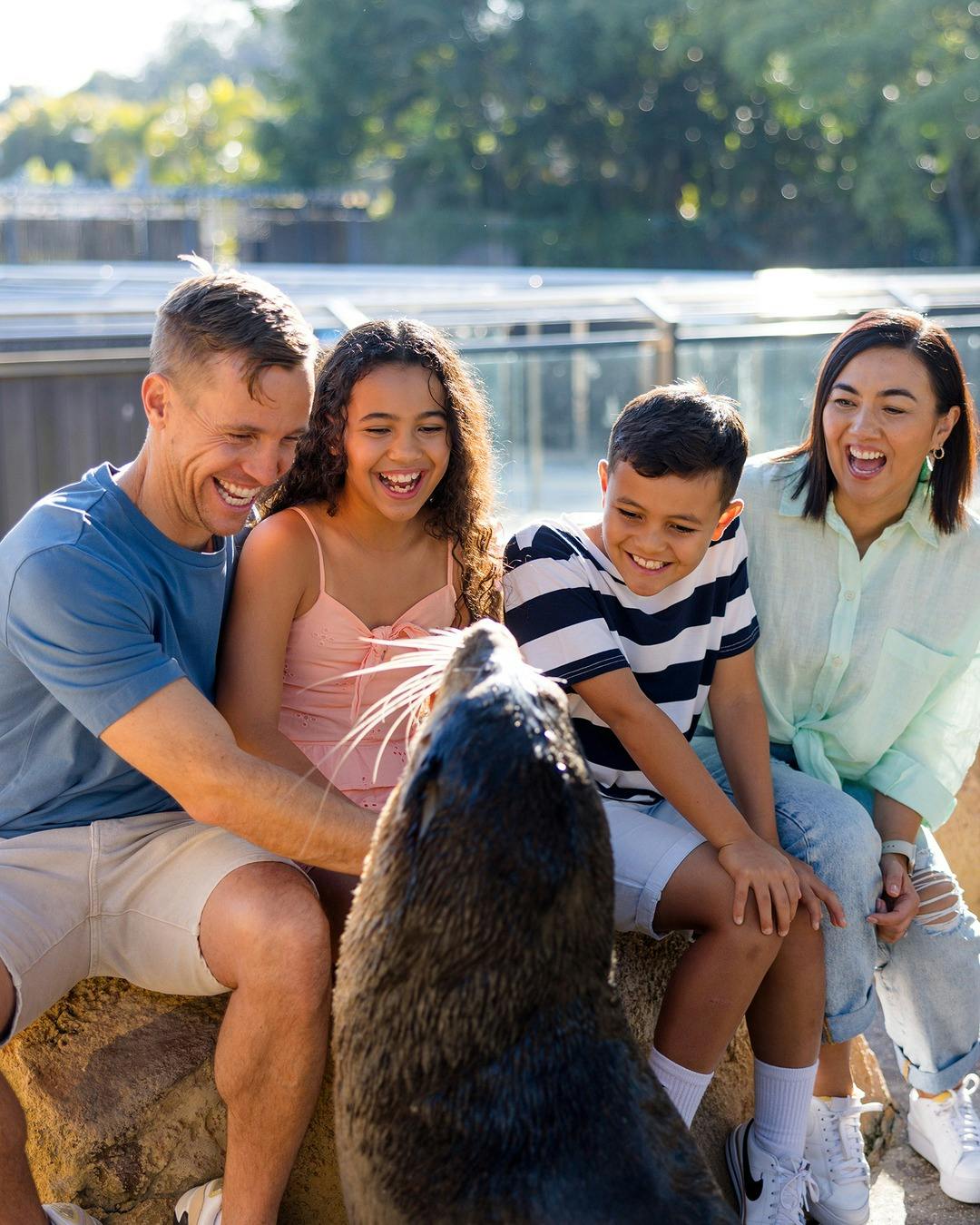 Sea World Tickets Gold Coast Category