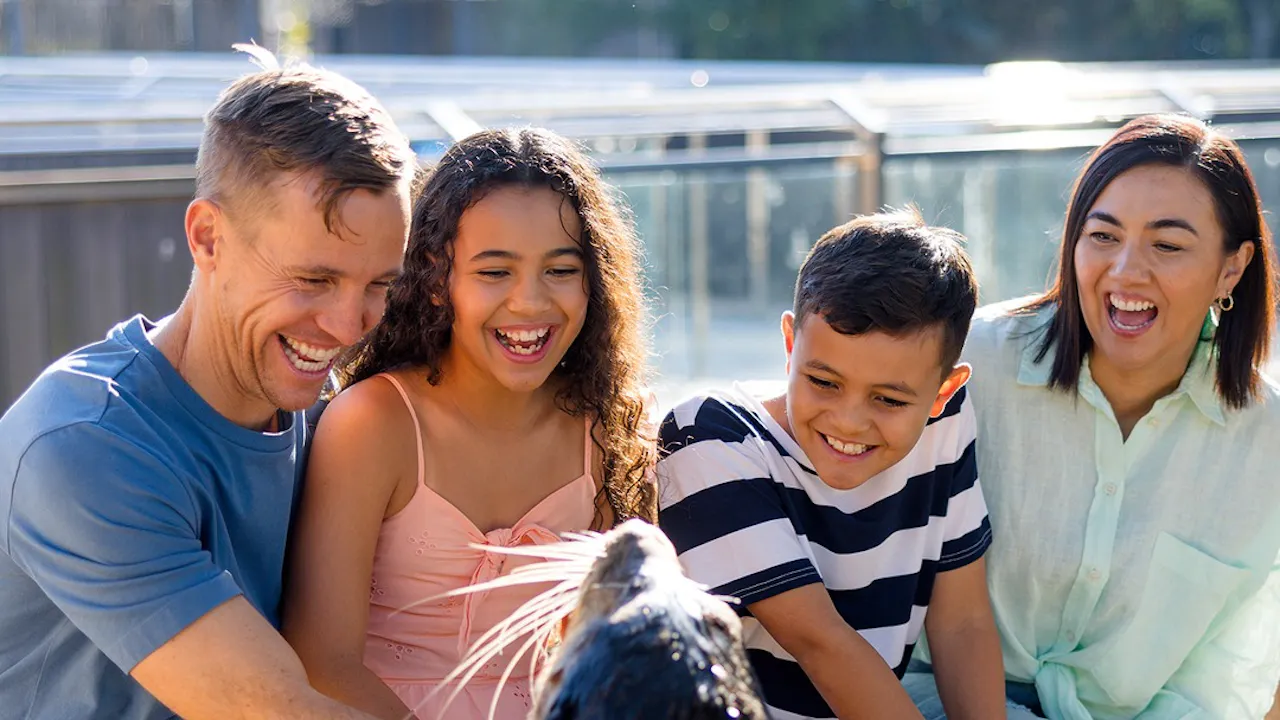 Sea World Tickets Gold Coast Category