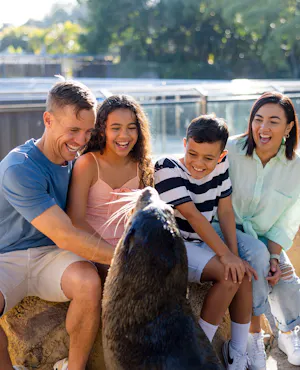 Sea World Tickets Gold Coast