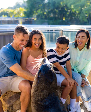 Sea World Tickets Gold Coast