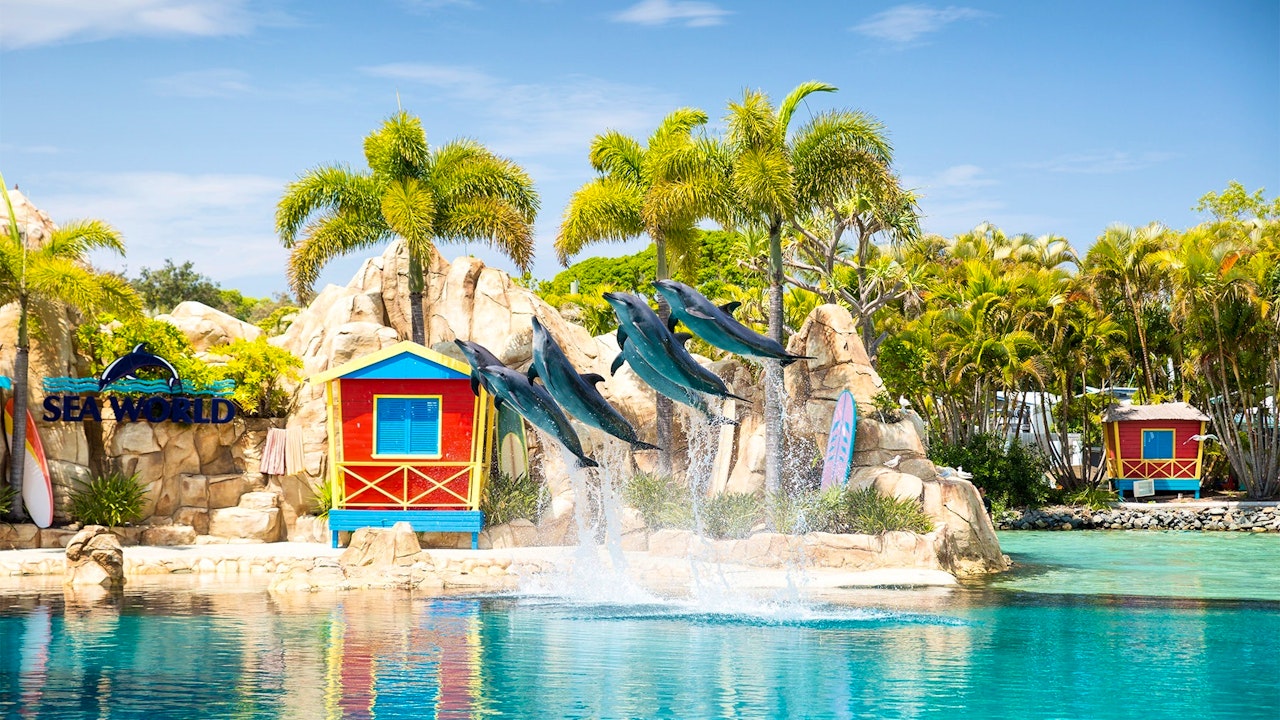 Sea World + Hop On Ferry | Best Deals & Discounts Location