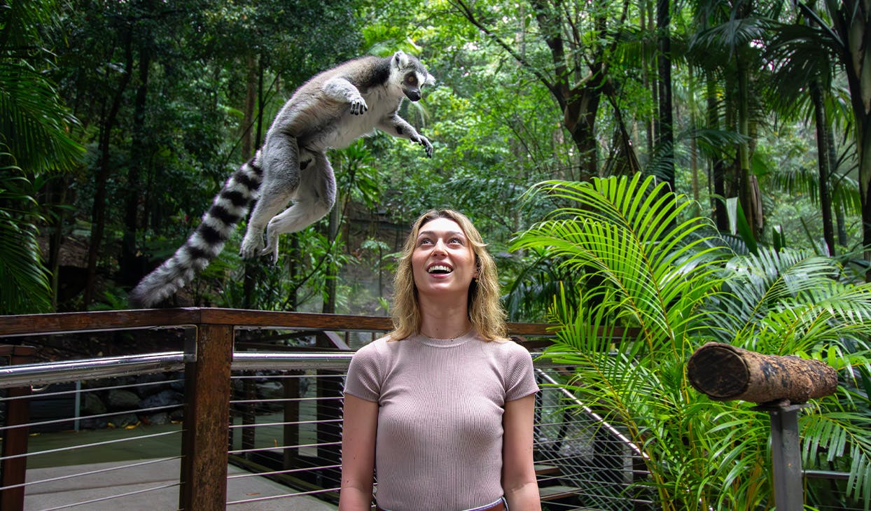 Currumbin Wildlife Sanctuary Tickets Gold Coast Discount
