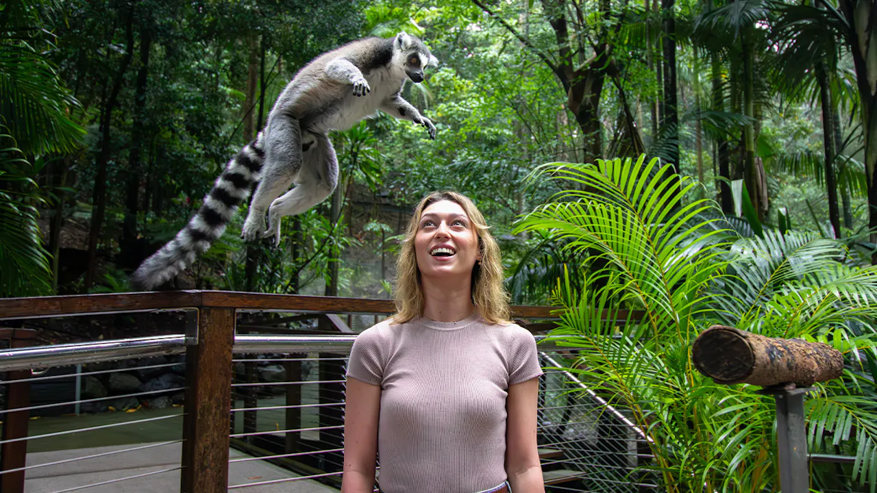 Currumbin Wildlife Sanctuary Tickets Gold Coast Discount