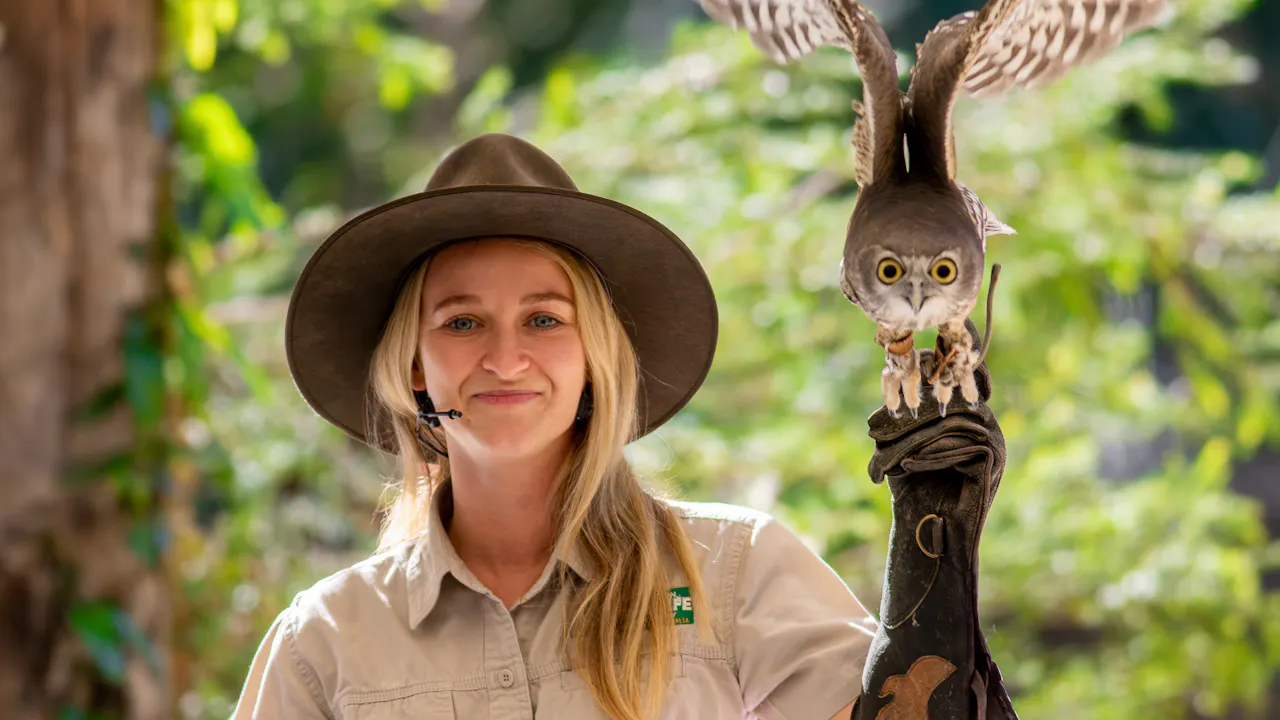 Currumbin Wildlife Sanctuary Tickets Gold Coast Price