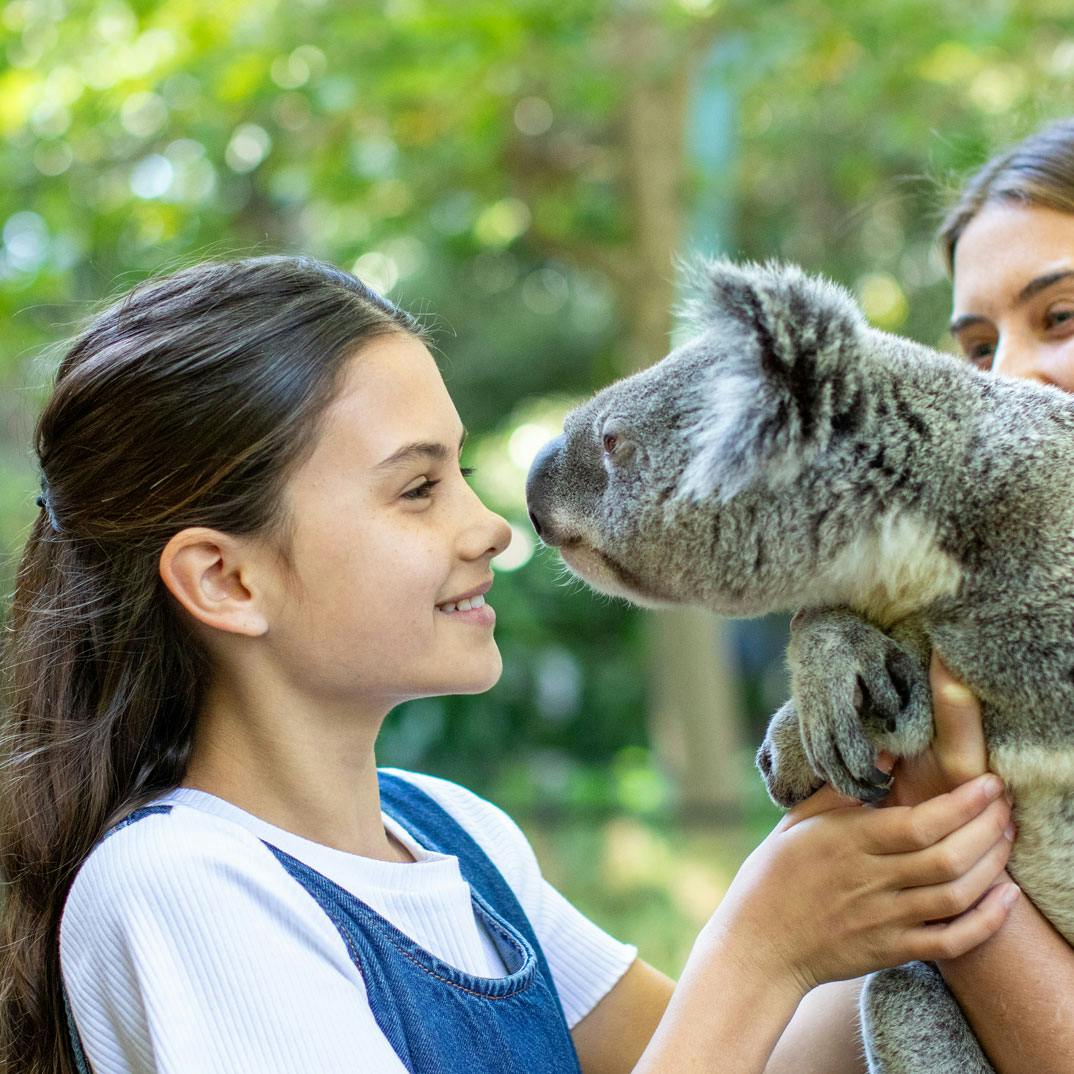 Currumbin Wildlife Sanctuary Tickets Gold Coast Location
