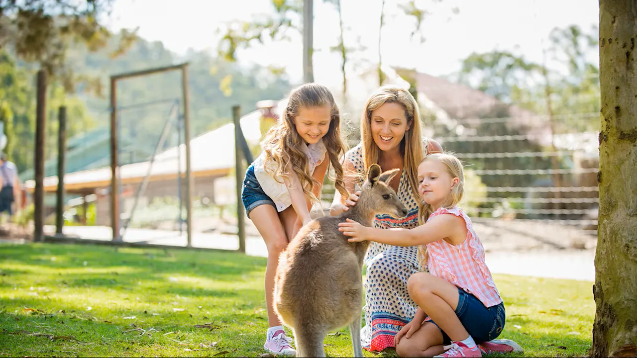 Theme Park Inbound Combo Pass in Gold Coast Discount