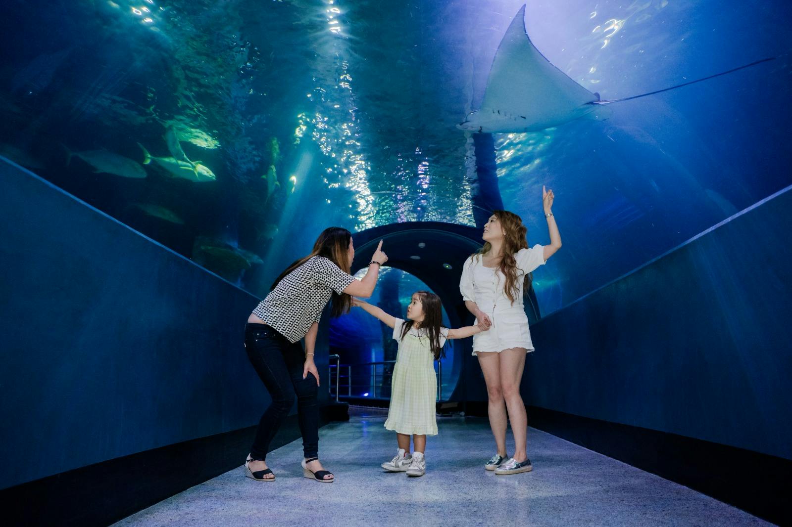 SEA LIFE Melbourne Aquarium Tickets Category