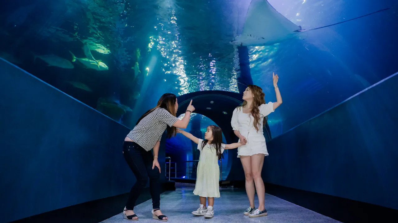 SEA LIFE Melbourne Aquarium Tickets Category