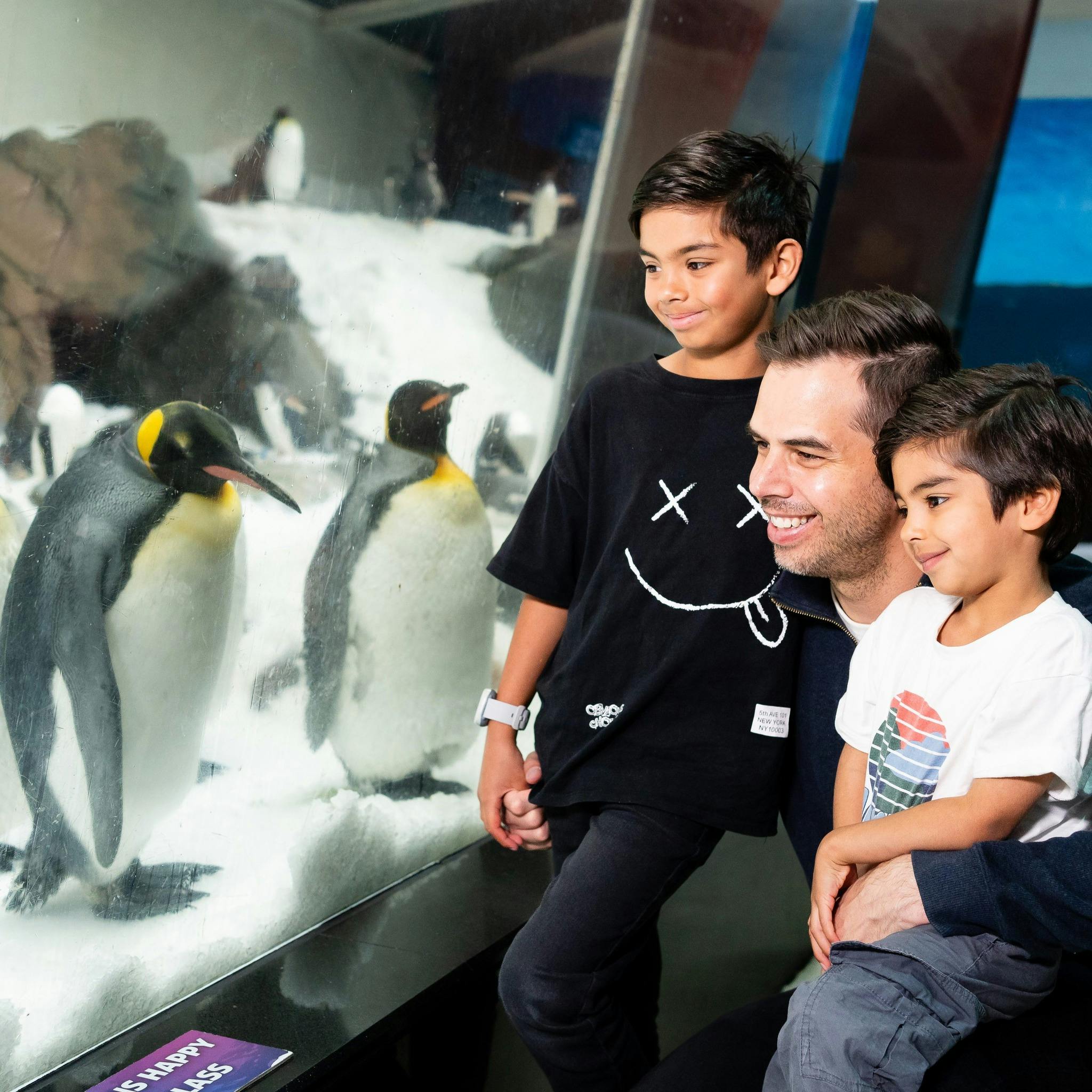 SEA LIFE Melbourne Aquarium Tickets Discount