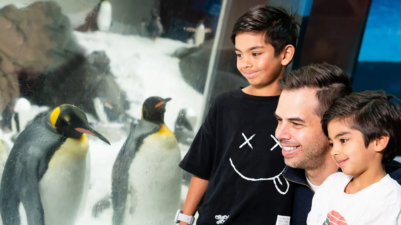 SEA LIFE Melbourne Aquarium Tickets Discount