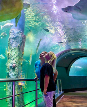 SEA LIFE Melbourne Aquarium Tickets