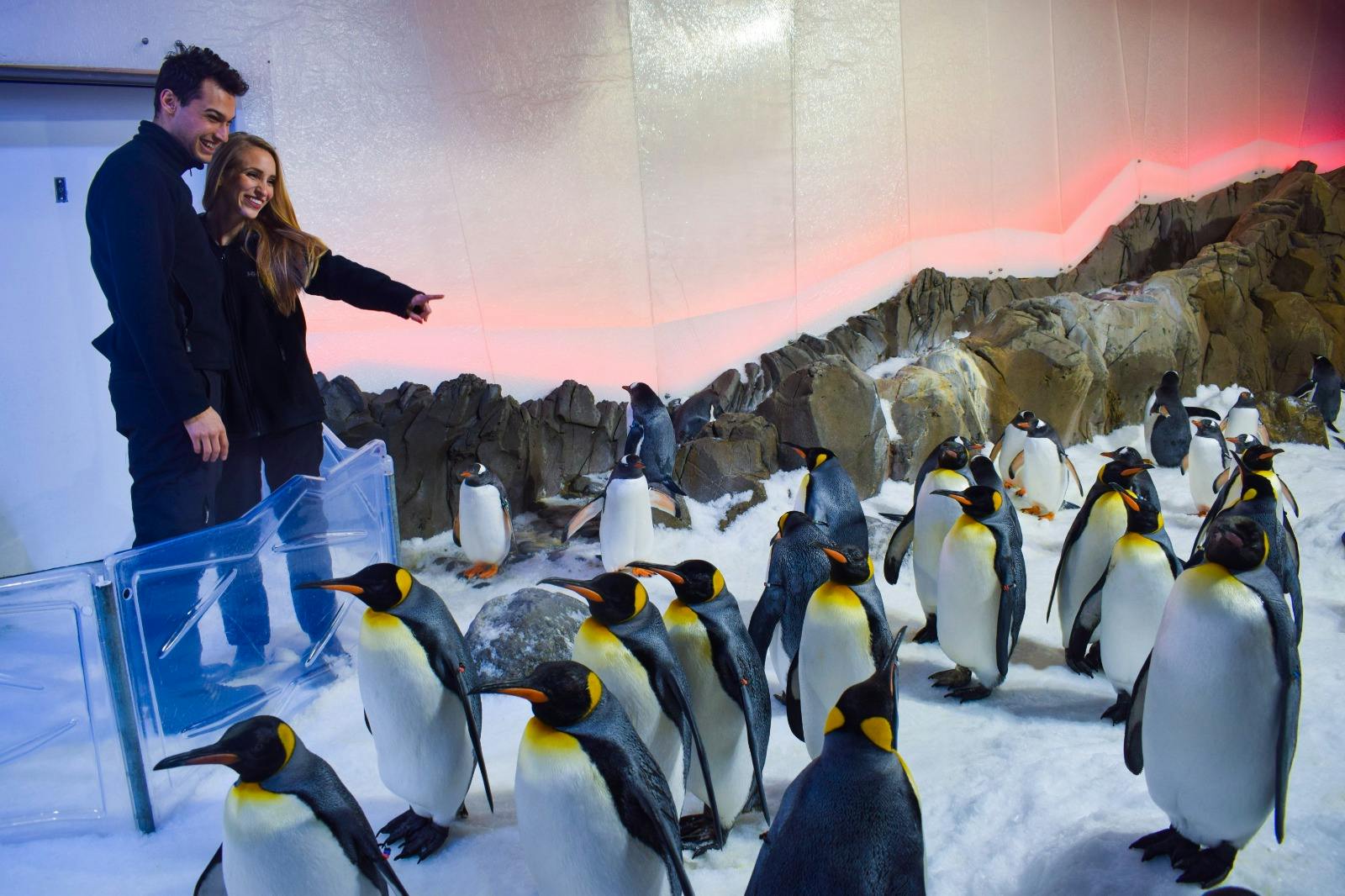 SEA LIFE Melbourne Aquarium Tickets Thrillark