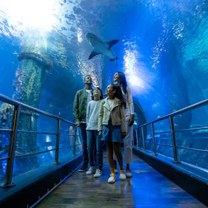 LEGOLAND Discovery Centre & SEA LIFE Combo Tickets