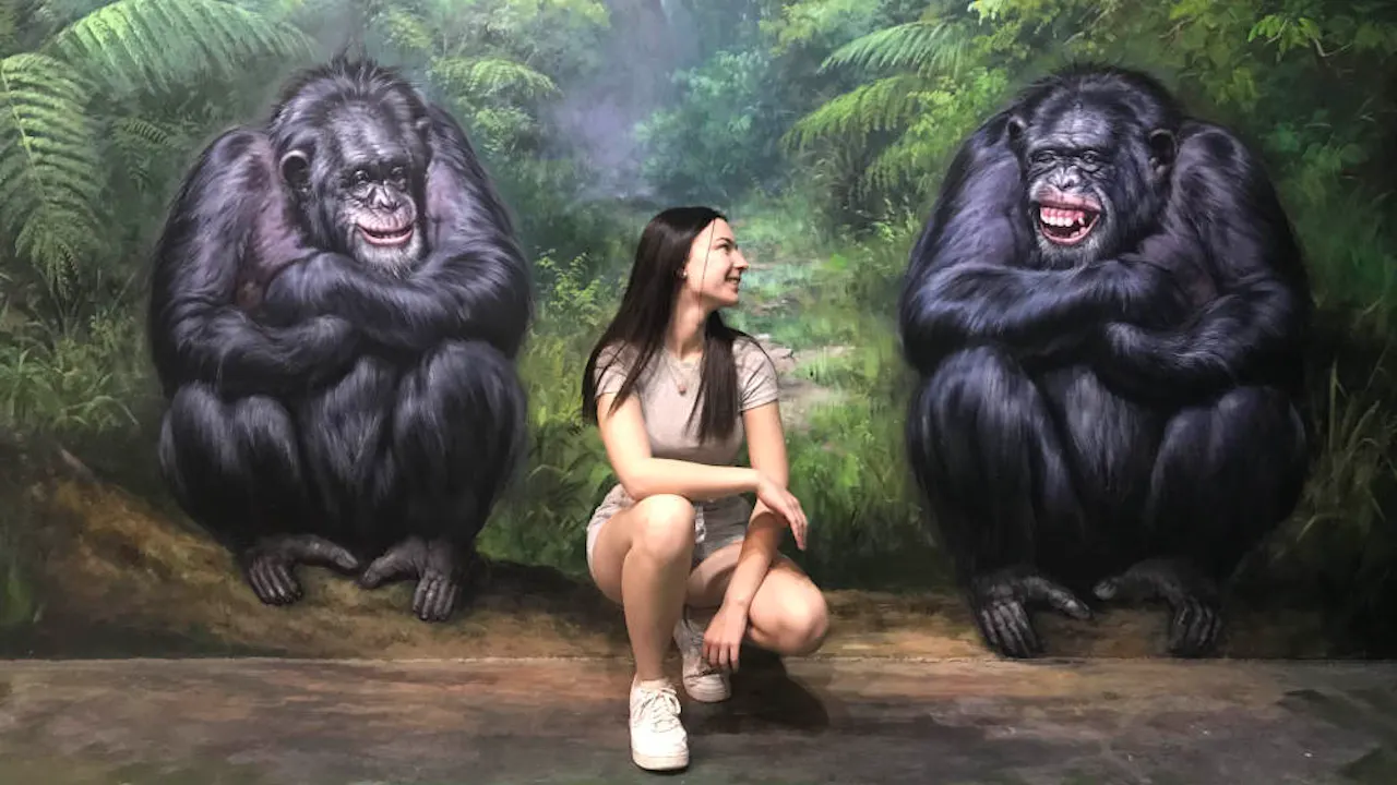 ArtVo Melbourne Tickets