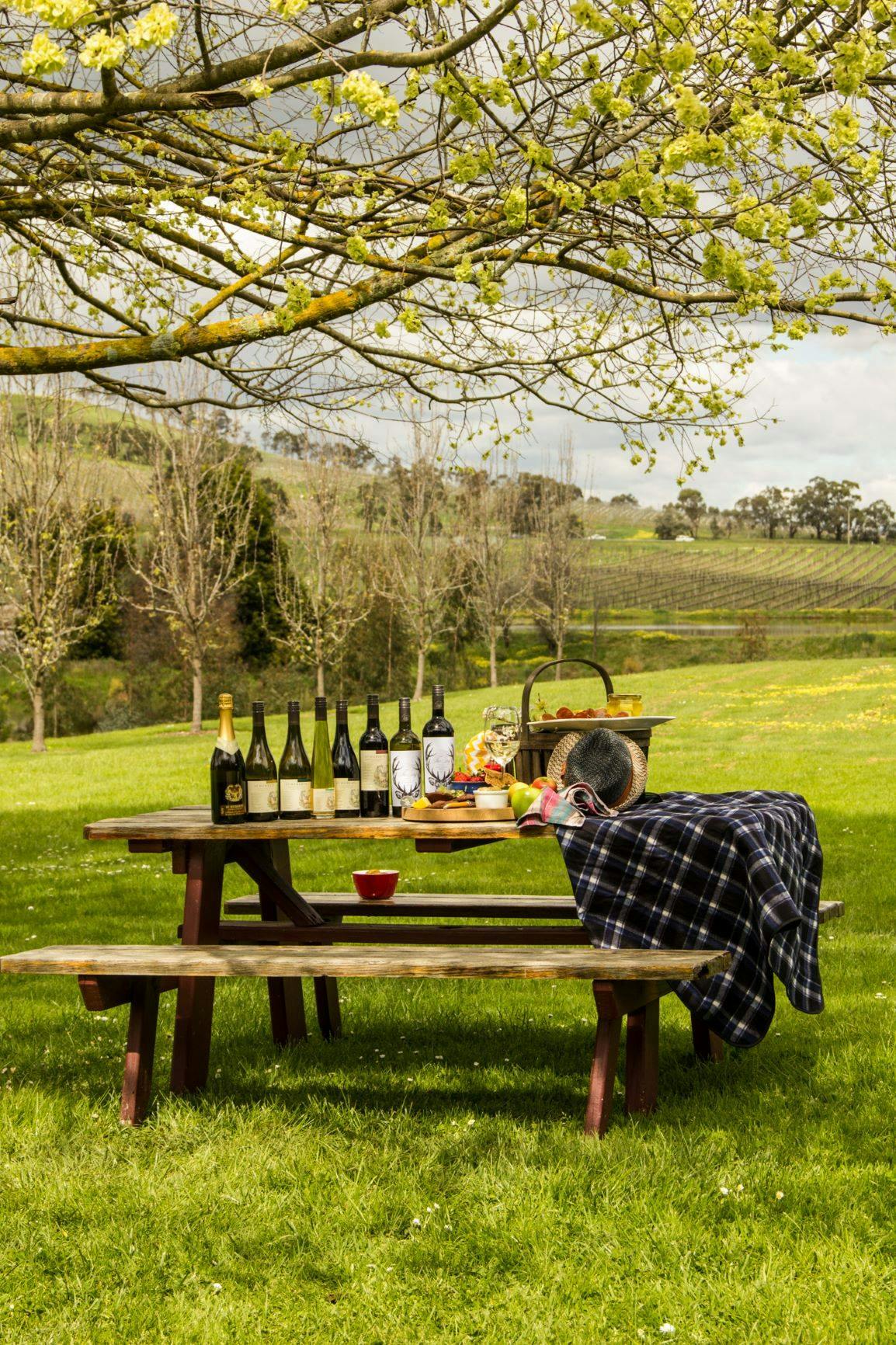 Yarra Valley Wine Tour from Melbourne Ticket