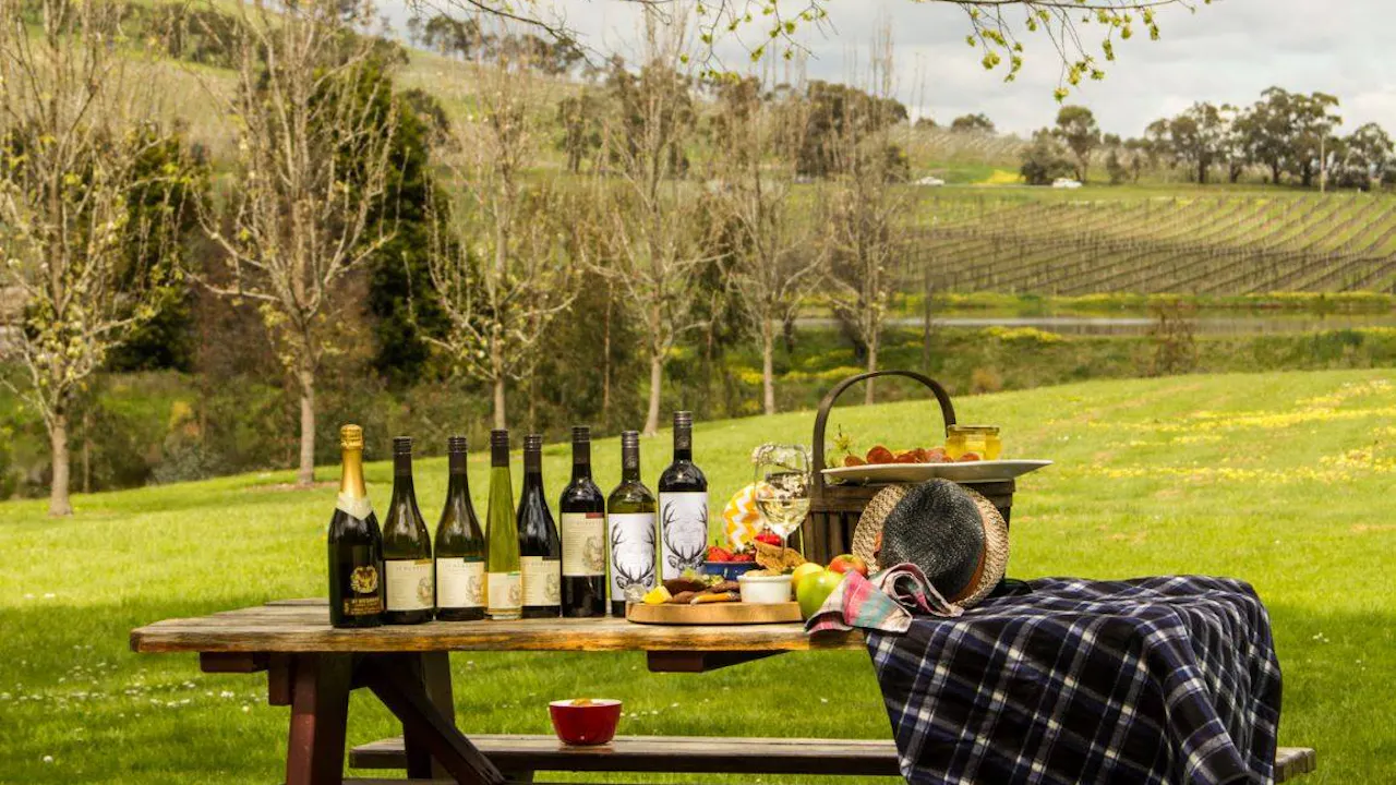 Yarra Valley Wine Tour from Melbourne Ticket