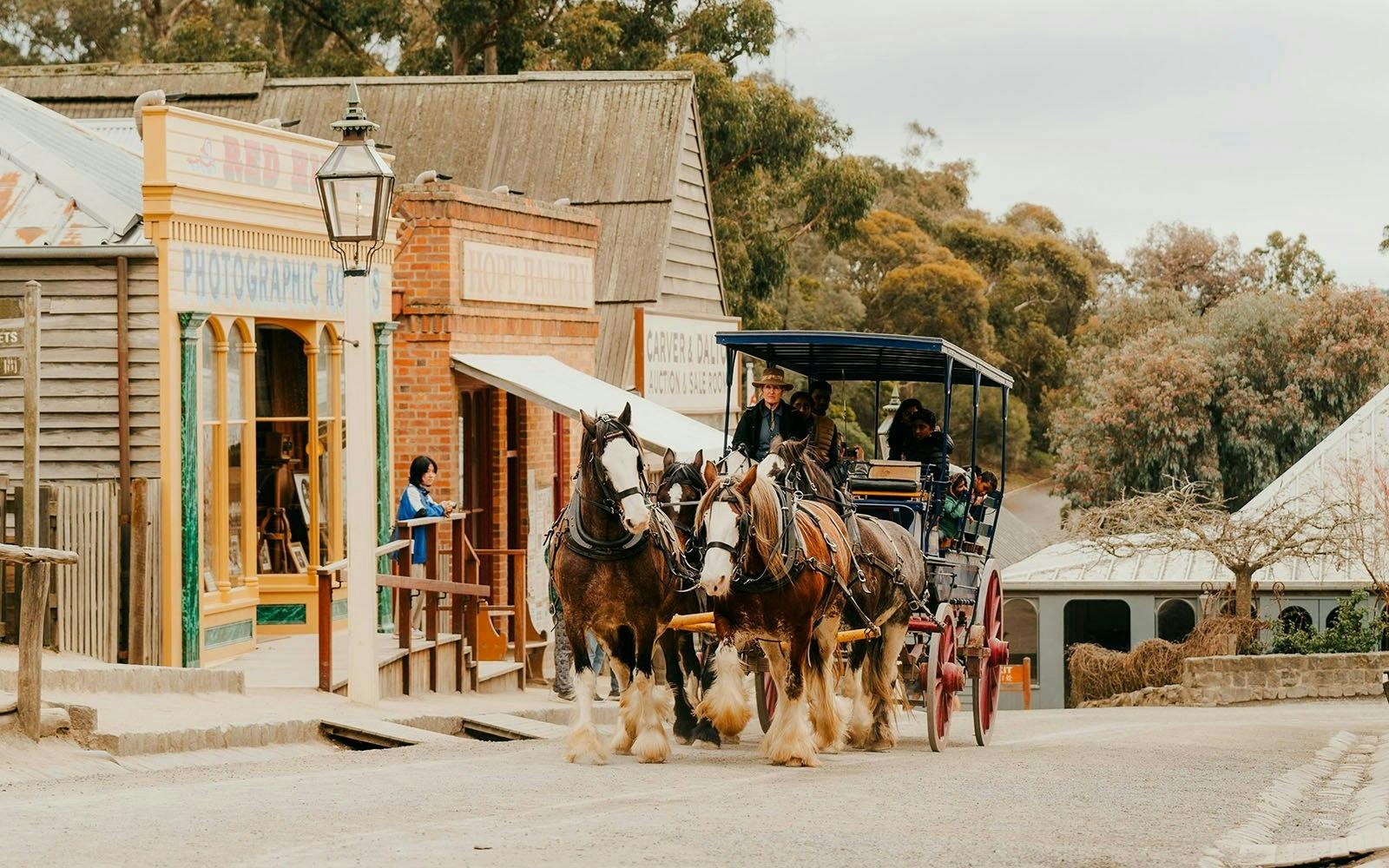 Sovereign Hill Ticket