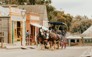 Sovereign Hill Ticket
