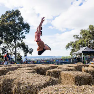 Sovereign Hill Ticket