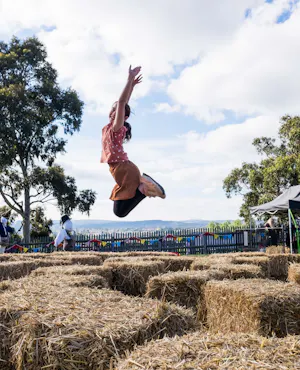 Sovereign Hill Ticket