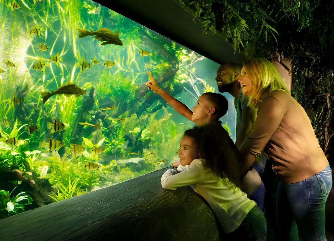 SEA LIFE London Aquarium Tickets Thrillark