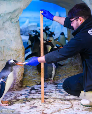 SEA LIFE London Aquarium Tickets