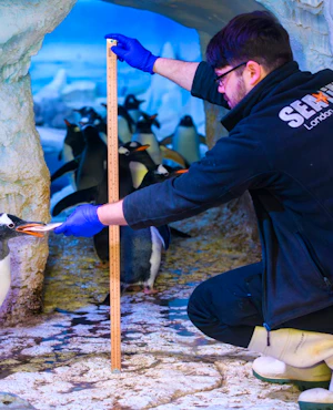 SEA LIFE London Aquarium Tickets