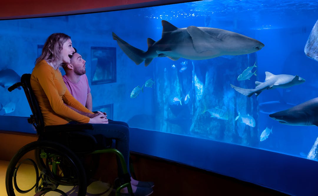 SEA LIFE London Aquarium Tickets Review
